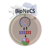 project logo